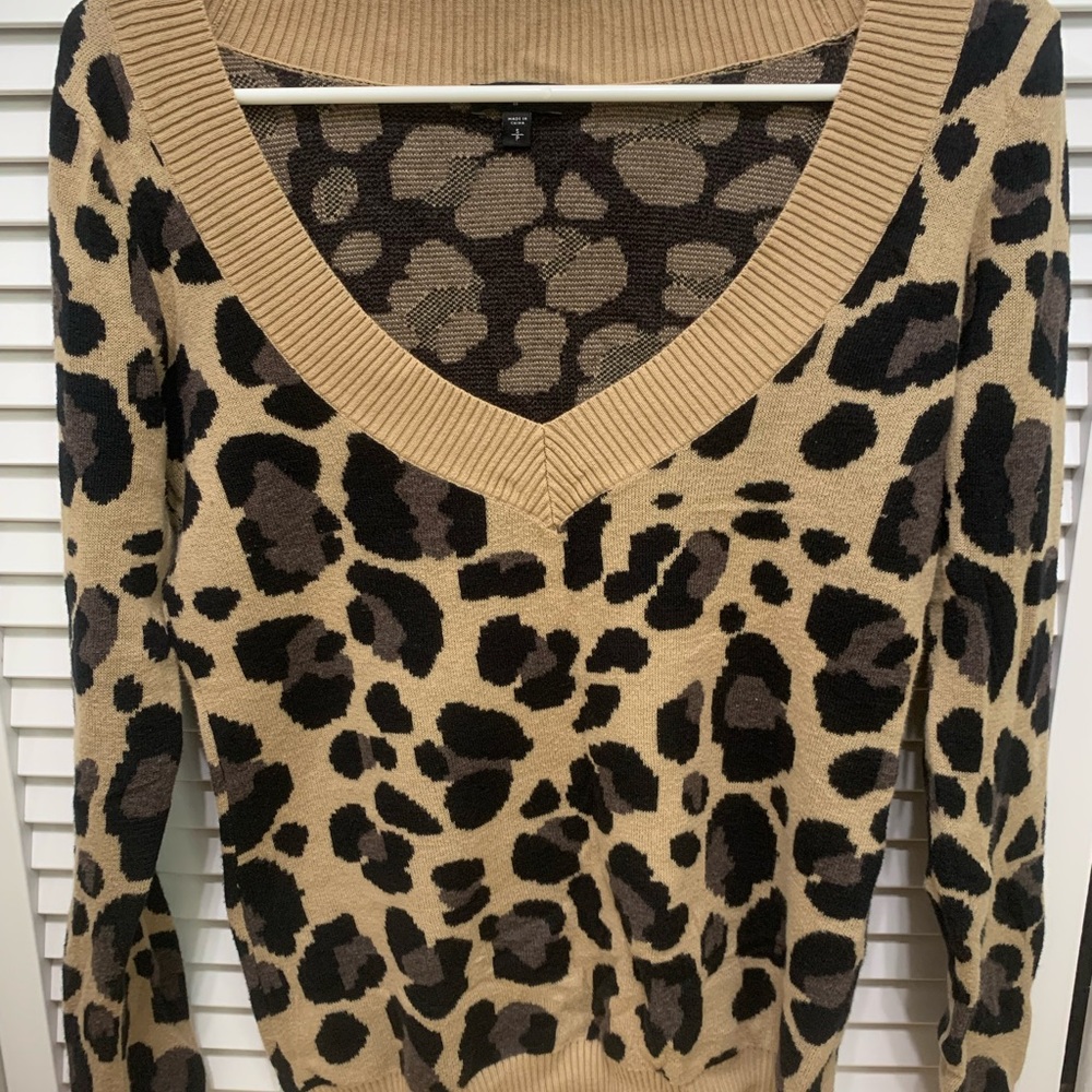 Express knit sweater